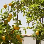 Terra Dei Limoni Hotell Lido di Noto