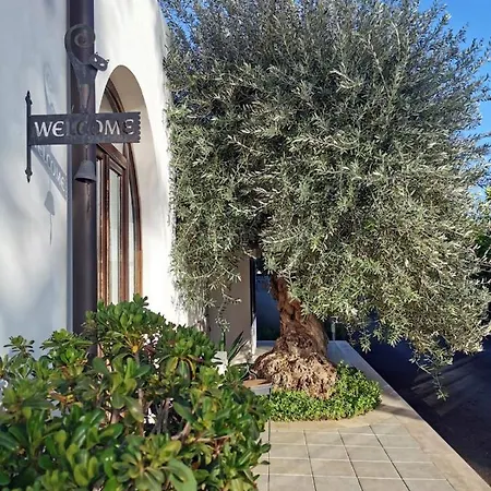 Terra Dei Limoni