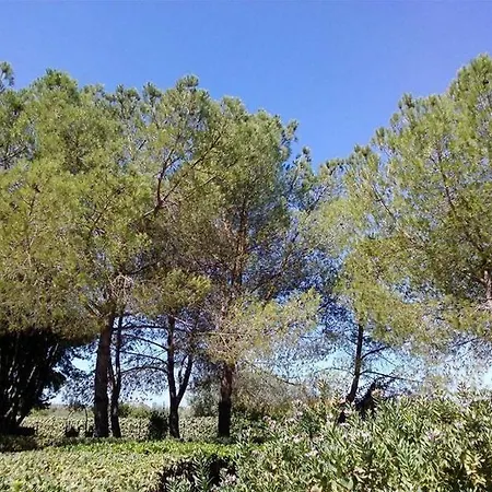 Terra Dei Limoni