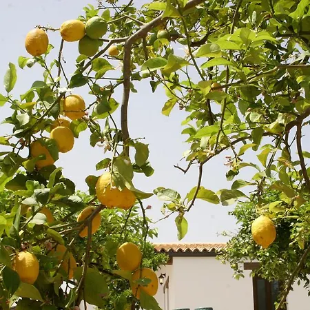 Terra Dei Limoni Hotel Lido di Noto