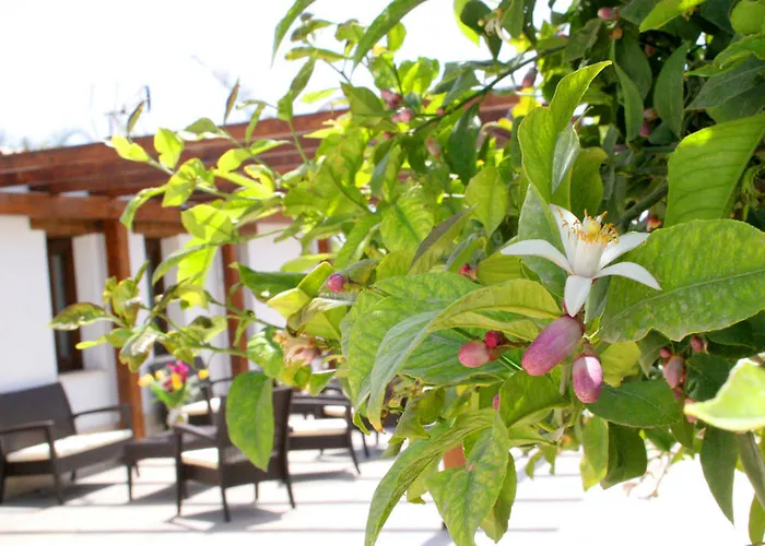 호텔 Terra Dei Limoni 3*