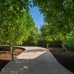 Terra Dei Limoni 3*