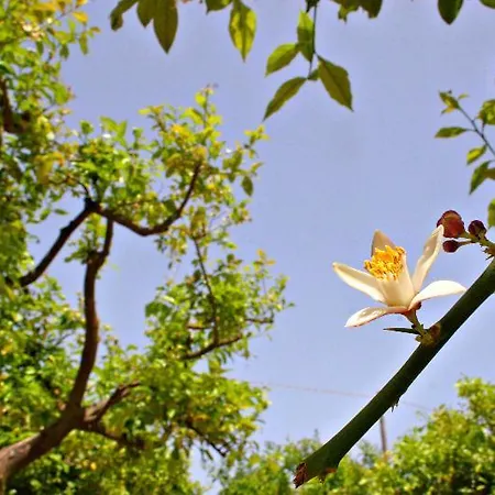 Hotel Terra Dei Limoni