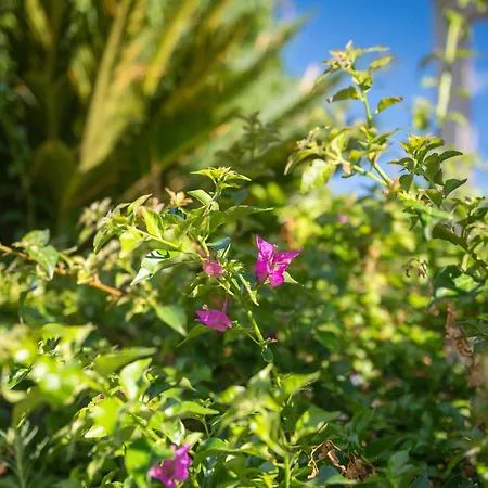 Hotel Terra Dei Limoni Lido di Noto