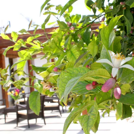 Hotel Terra Dei Limoni 3*