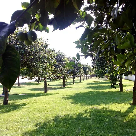 Terra Dei Limoni Hotel