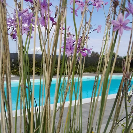 Hotel Terra Dei Limoni